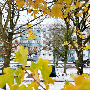 Wohnungsansicht