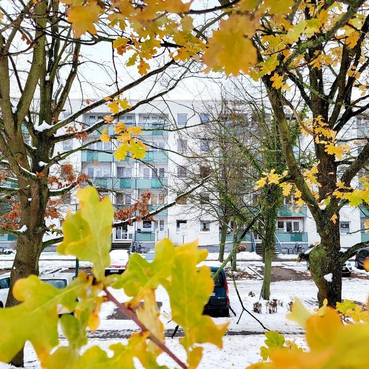 Wohnungsansicht